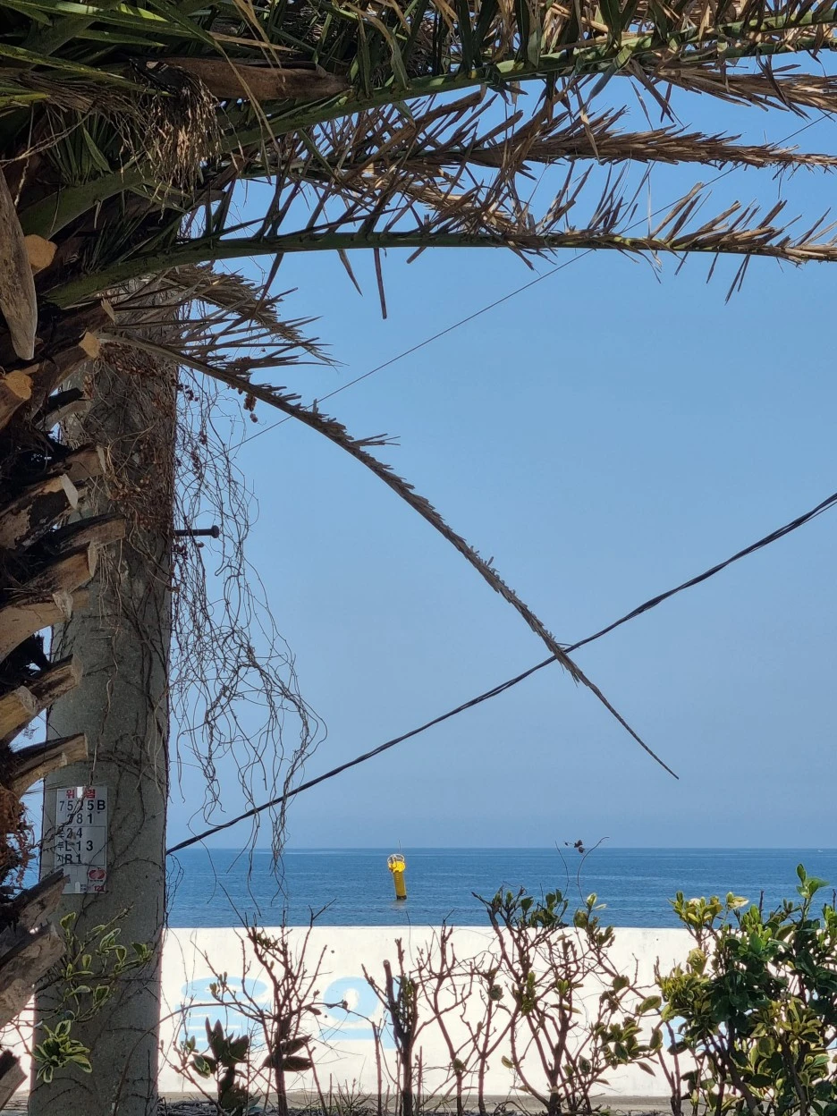 KakaoTalk_20220318_113119758_13.jpg?type=w1