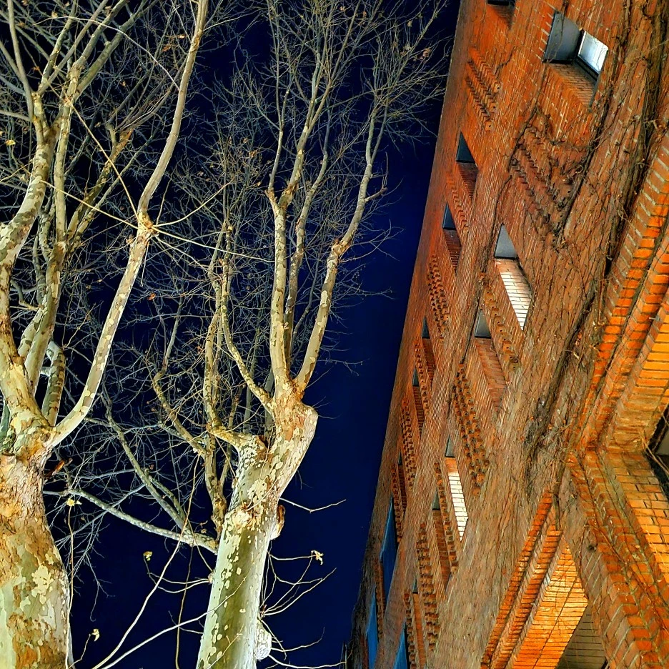 SE-338bf282-337d-4a49-9b33-a9409fb01ce0.jpg?type=w1