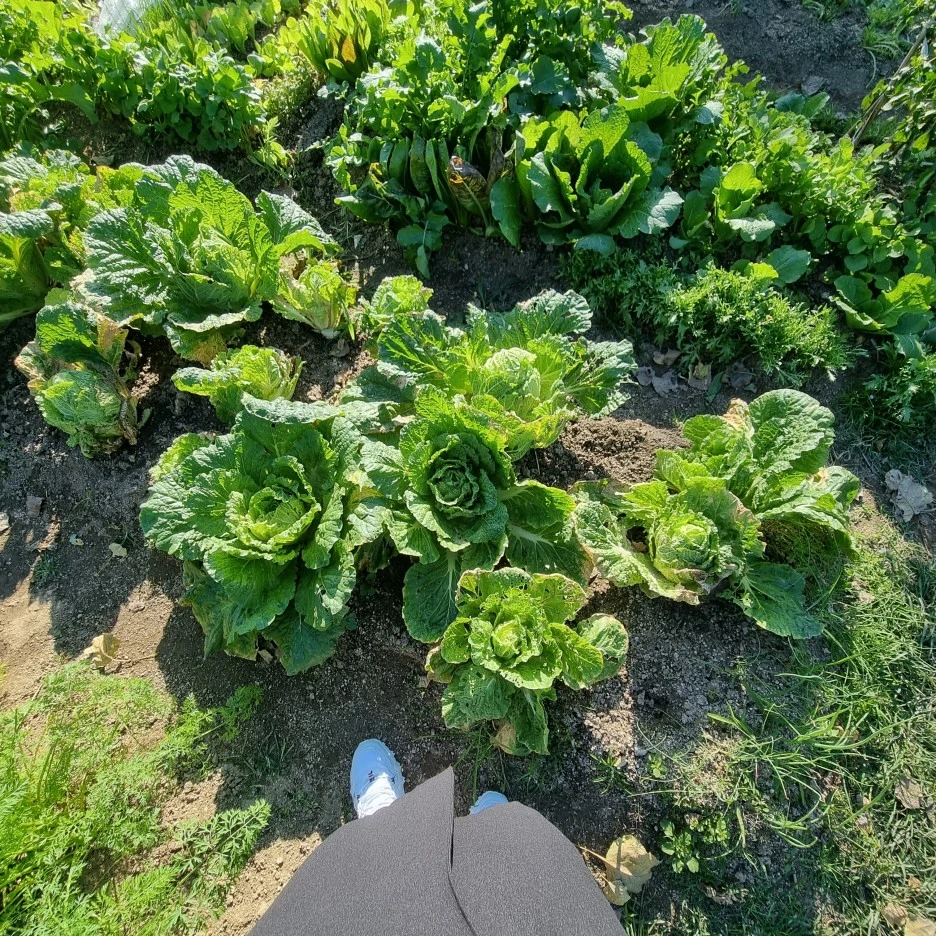 KakaoTalk_20211017_175515912_24.jpg?type=w1