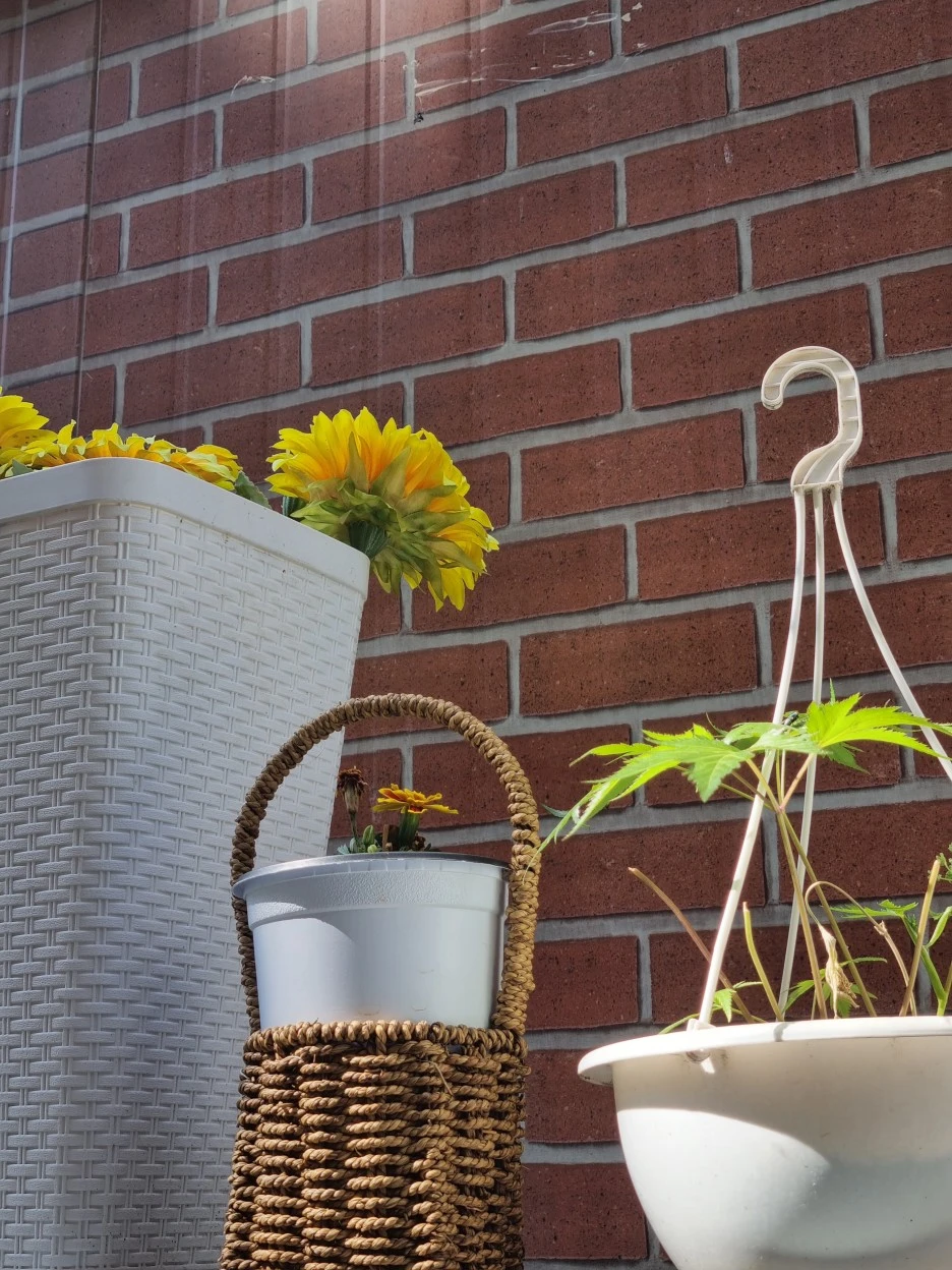 KakaoTalk_20220527_175124765_15.jpg?type=w1