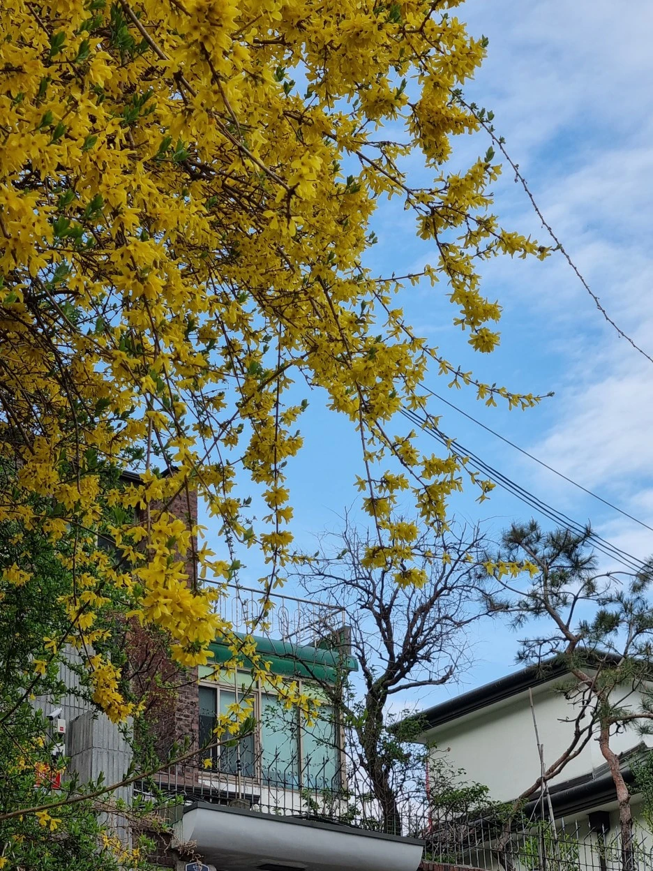 KakaoTalk_20220414_212441135_16.jpg?type=w1