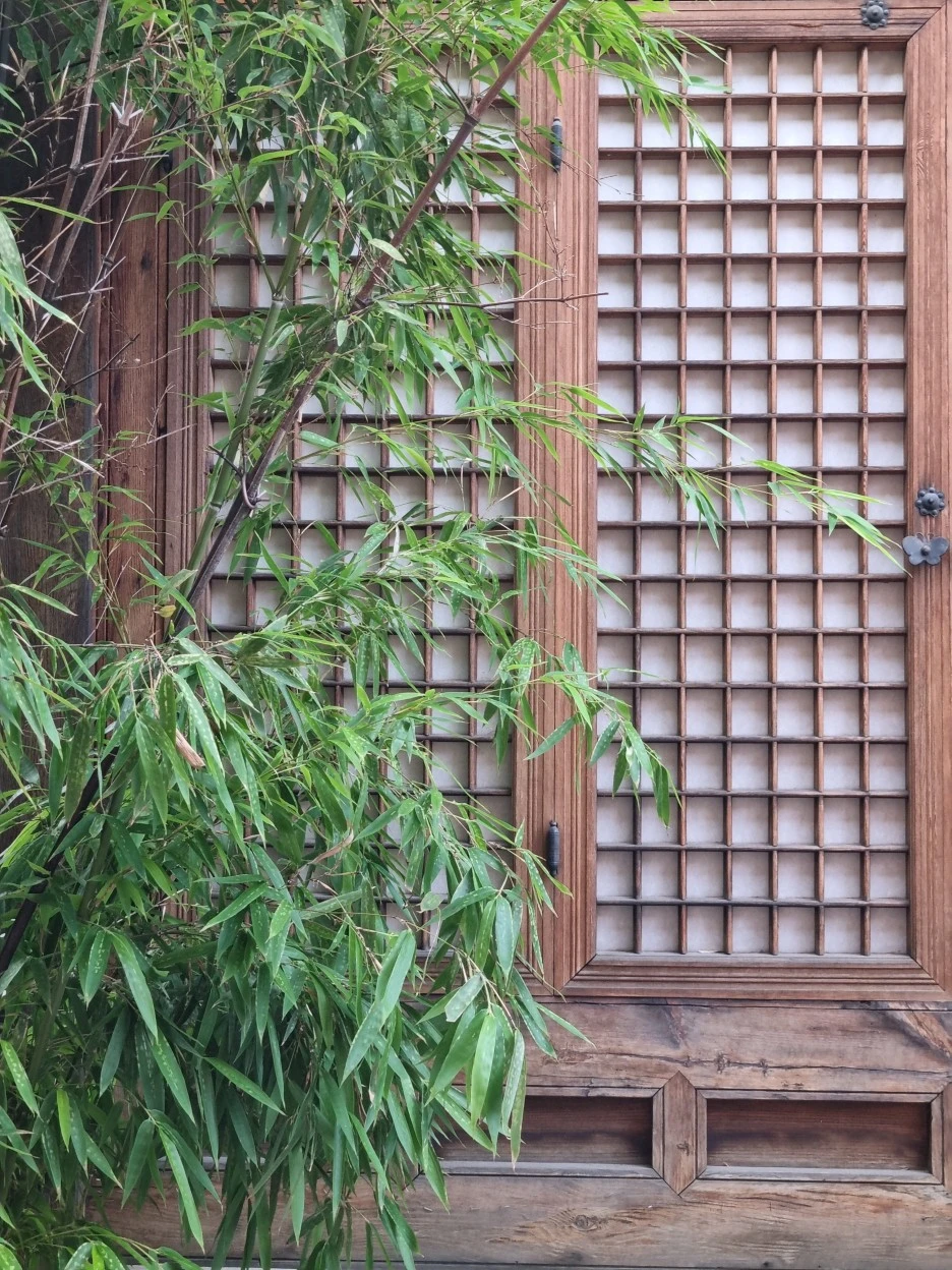 KakaoTalk_20220706_190124843_04.jpg?type=w1