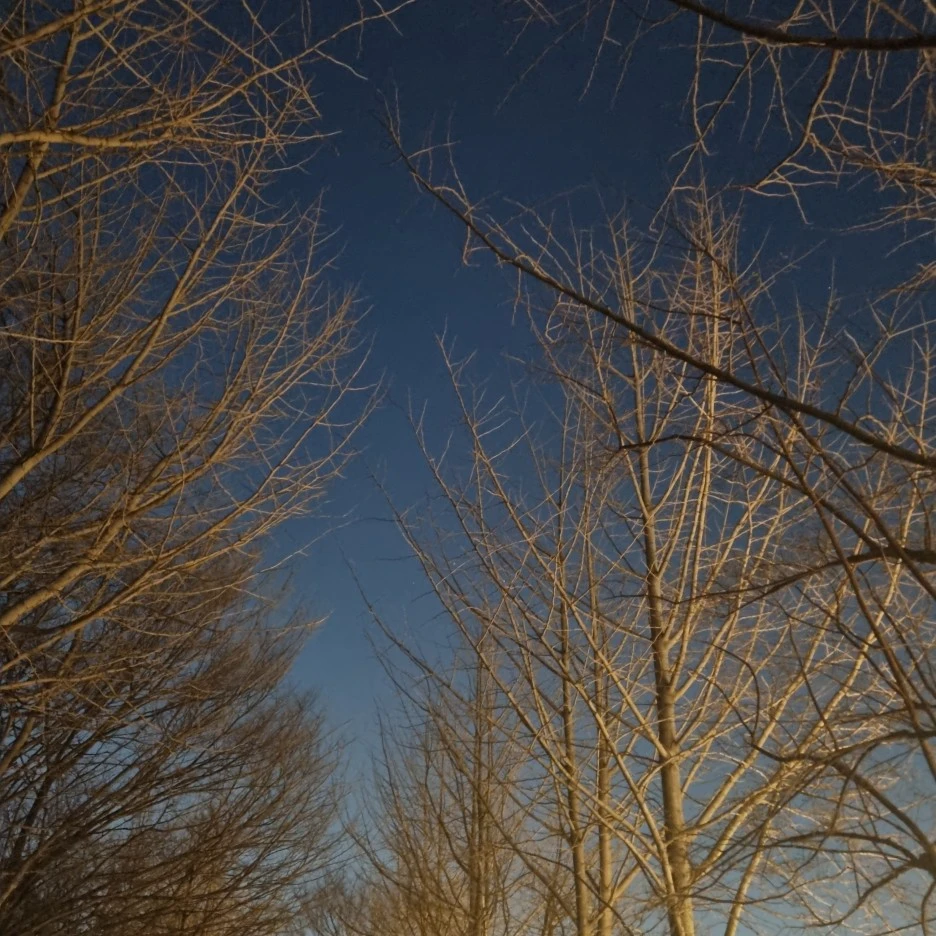 KakaoTalk_20220302_181144652_04.jpg?type=w1