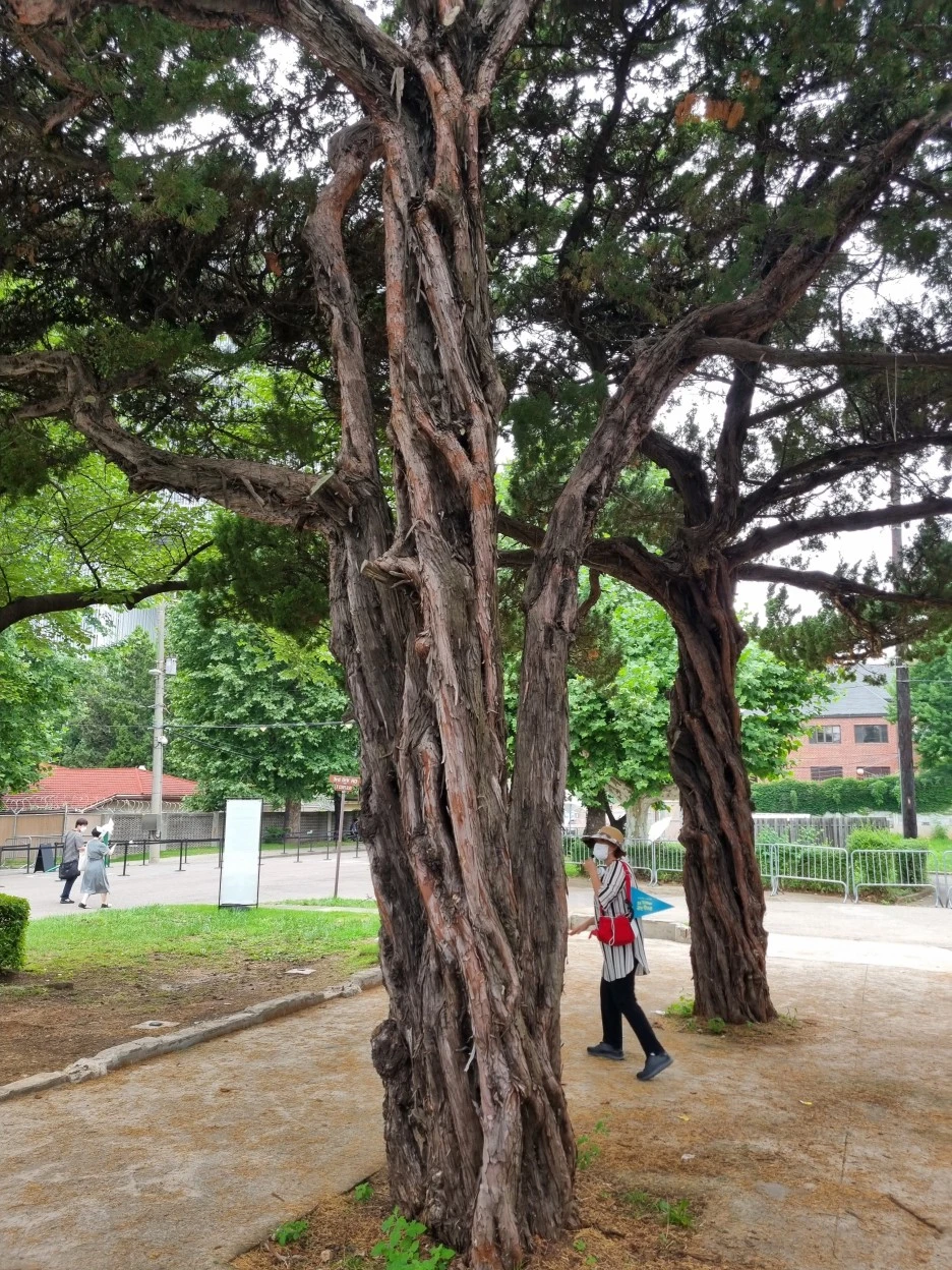 KakaoTalk_20220626_211543414_06.jpg?type=w1