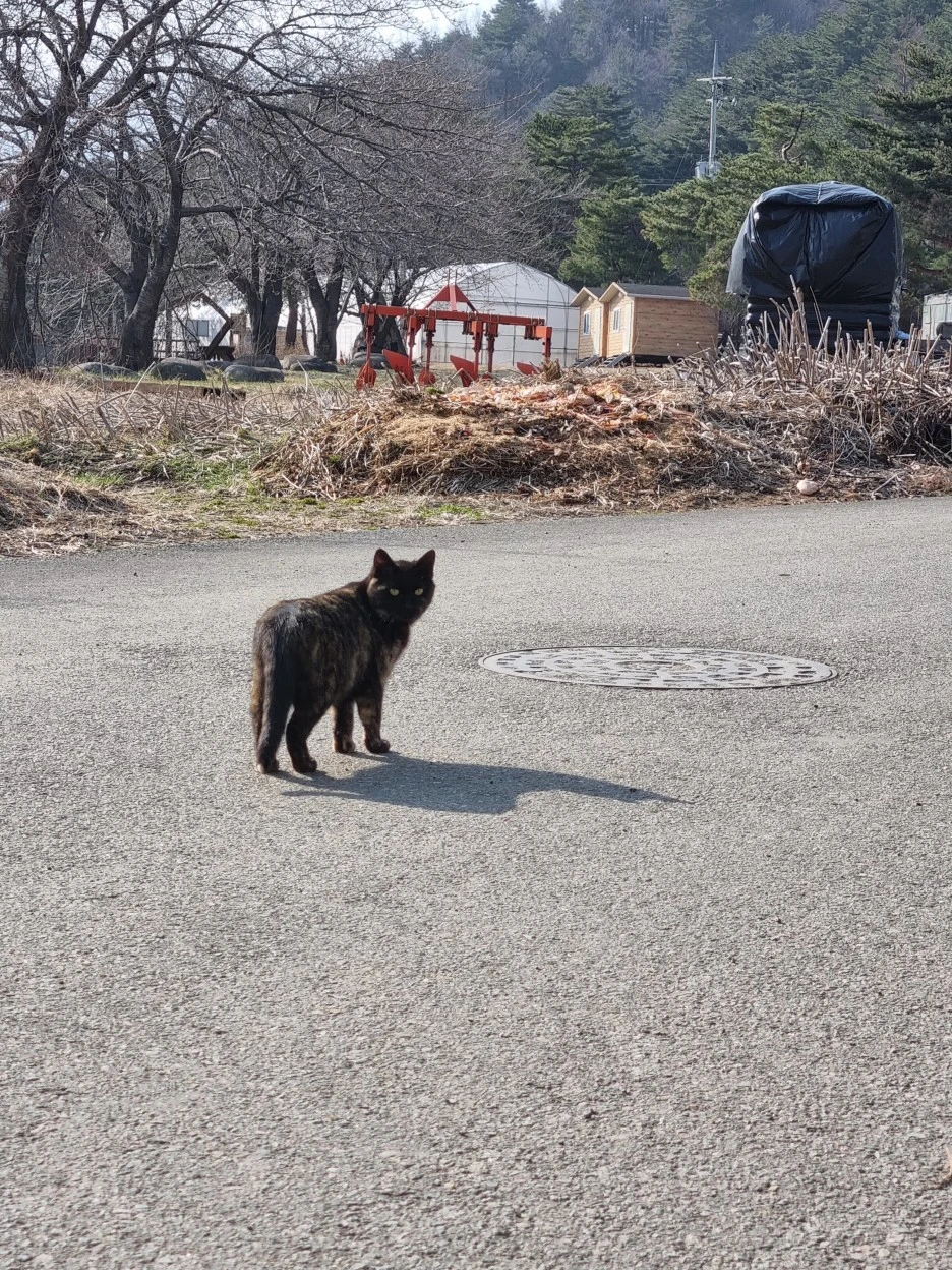 20220322_154557.jpg?type=w1