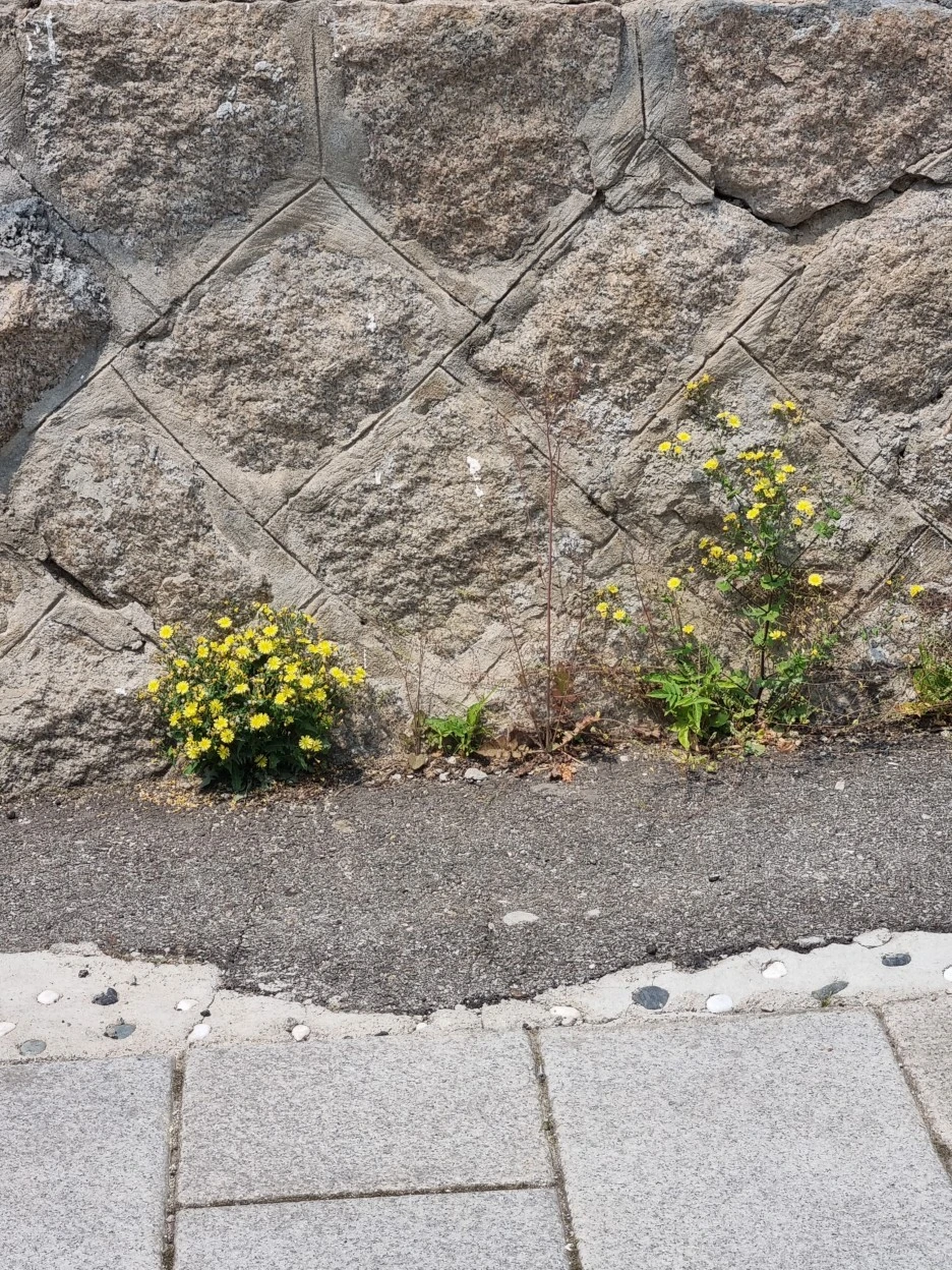 KakaoTalk_20220524_105820859_09.jpg?type=w1