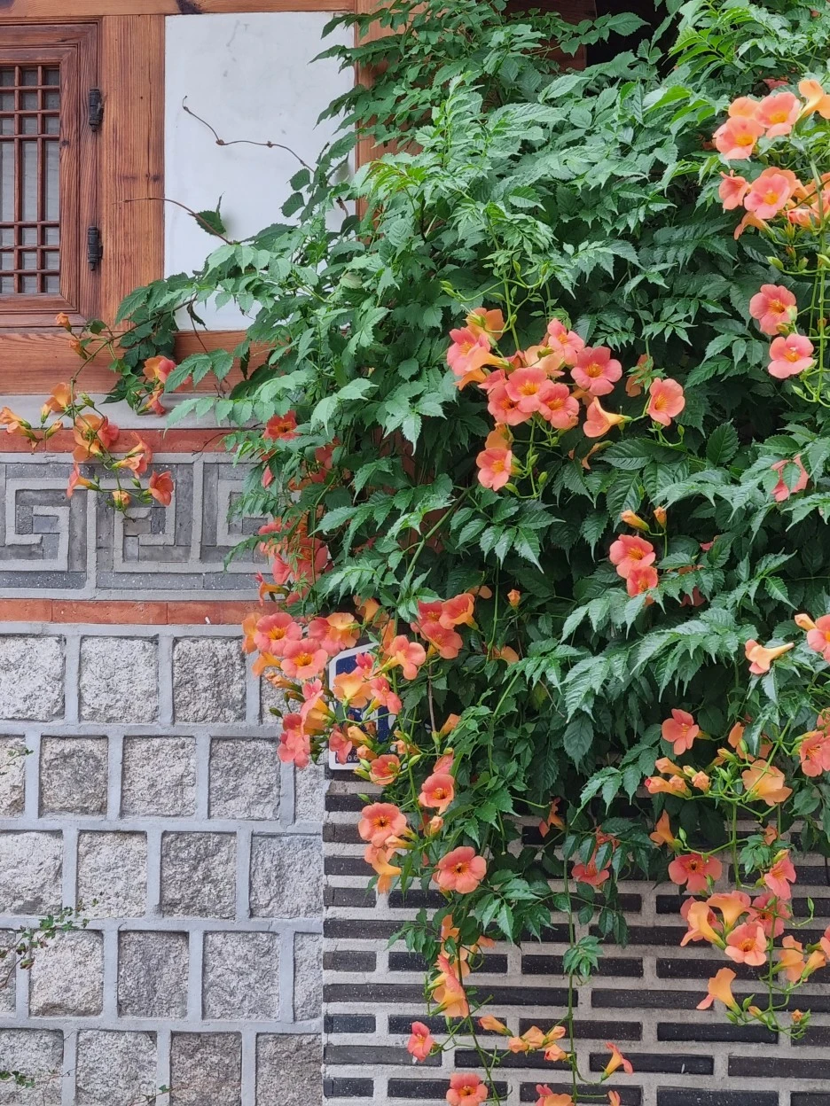 KakaoTalk_20220706_190445648_24.jpg?type=w1