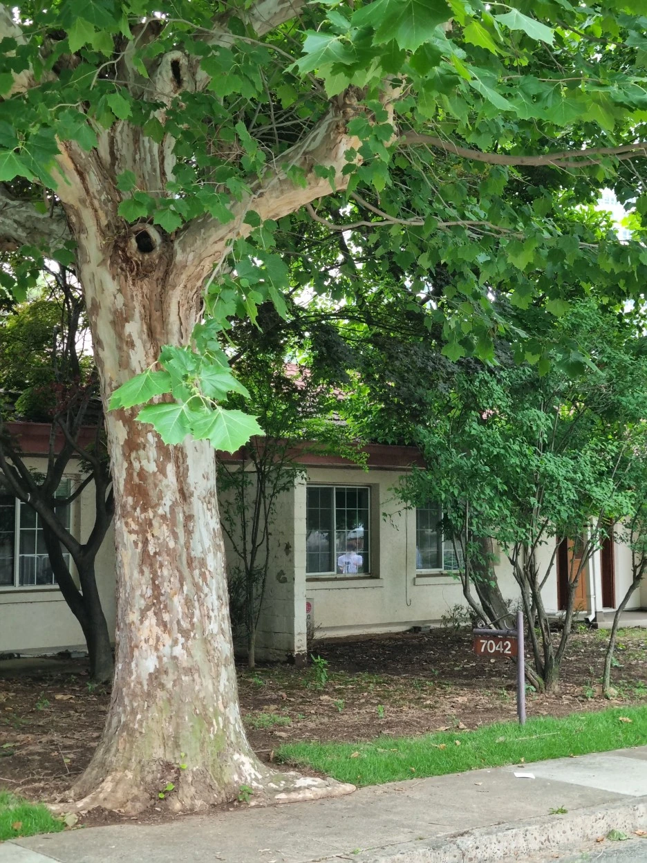 KakaoTalk_20220626_211543414_09.jpg?type=w1