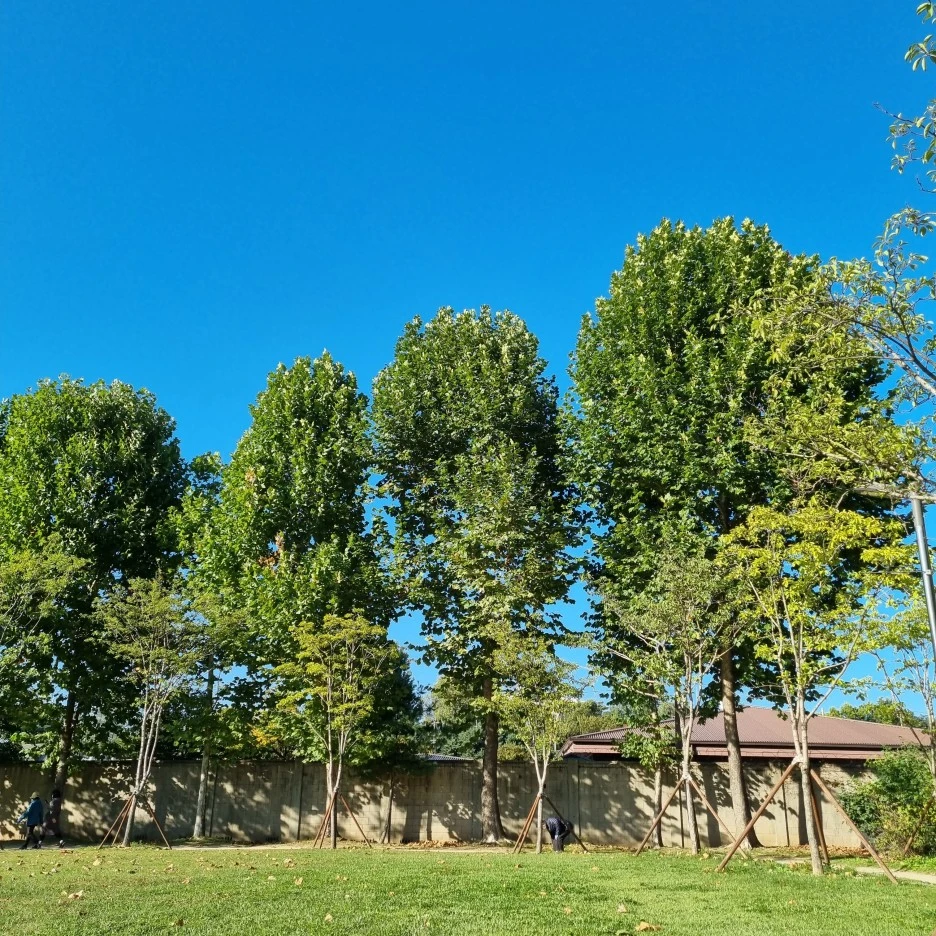 KakaoTalk_20211017_175601419_09.jpg?type=w1