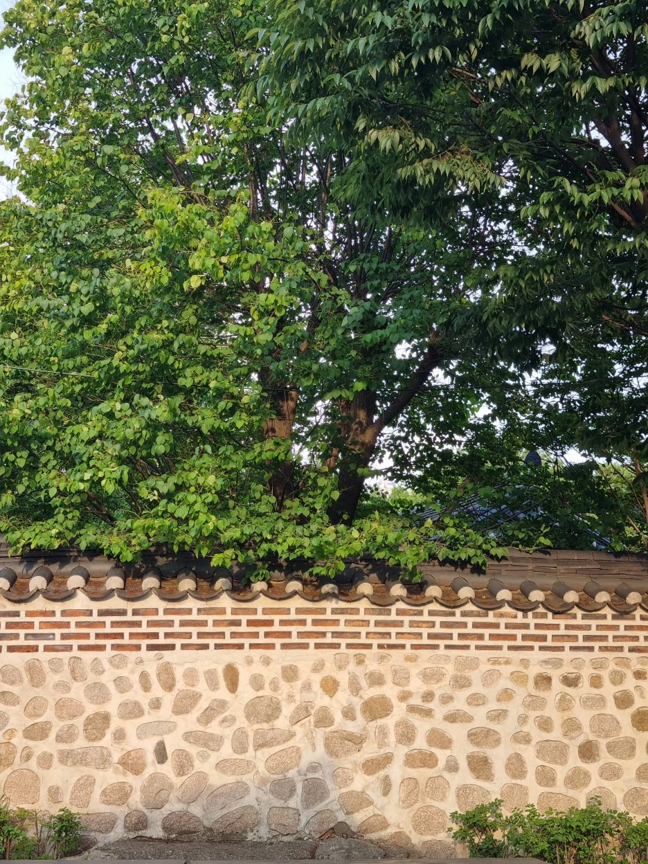 KakaoTalk_20220706_190033189_13.jpg?type=w1