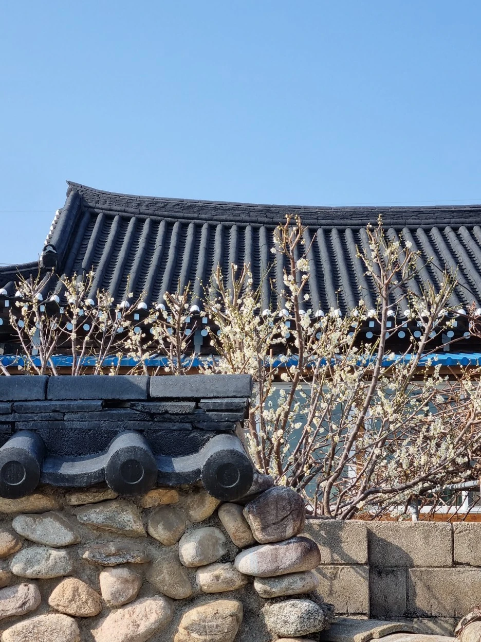 20220322_153133.jpg?type=w1