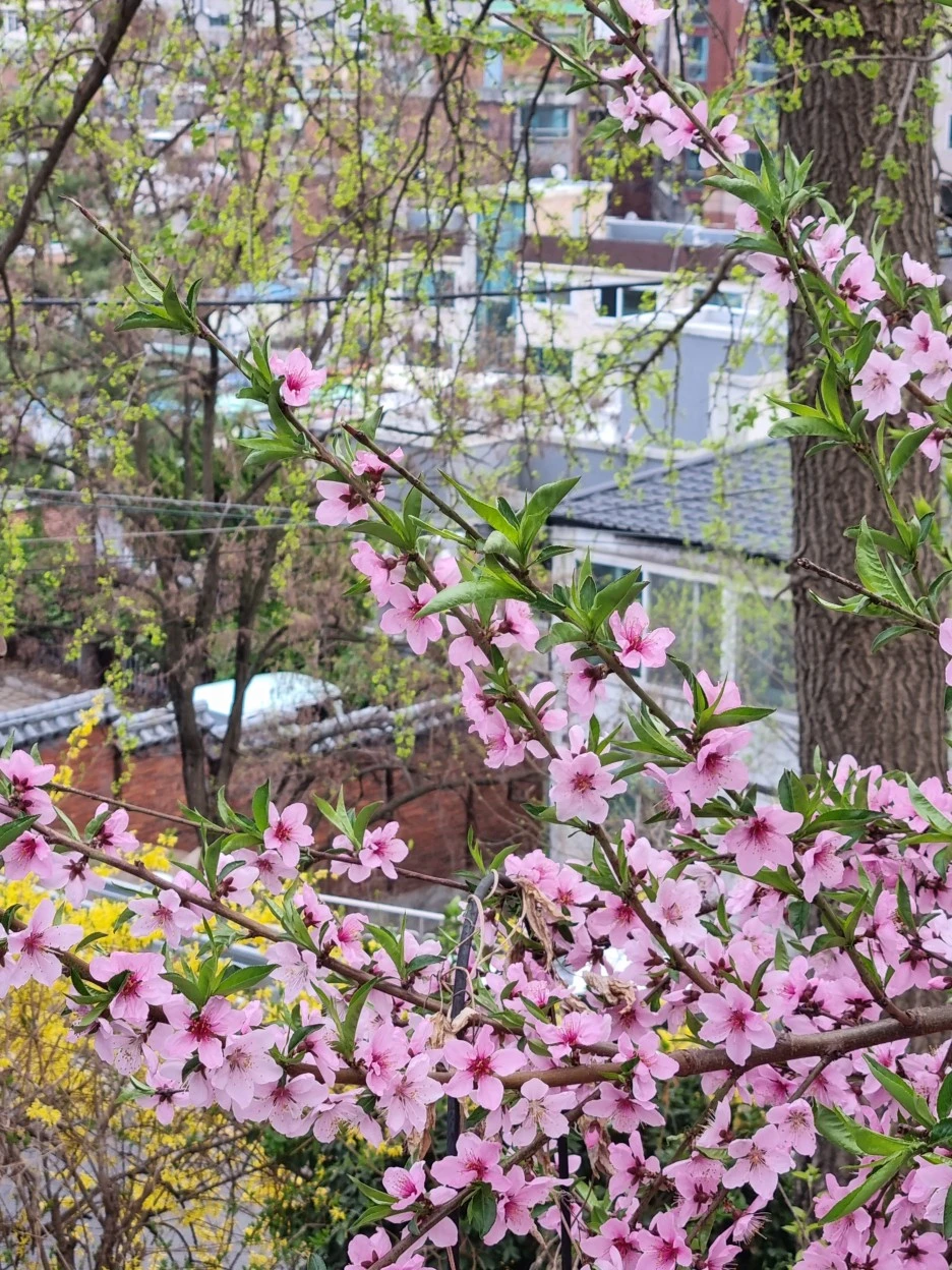 KakaoTalk_20220414_212441135_19.jpg?type=w1