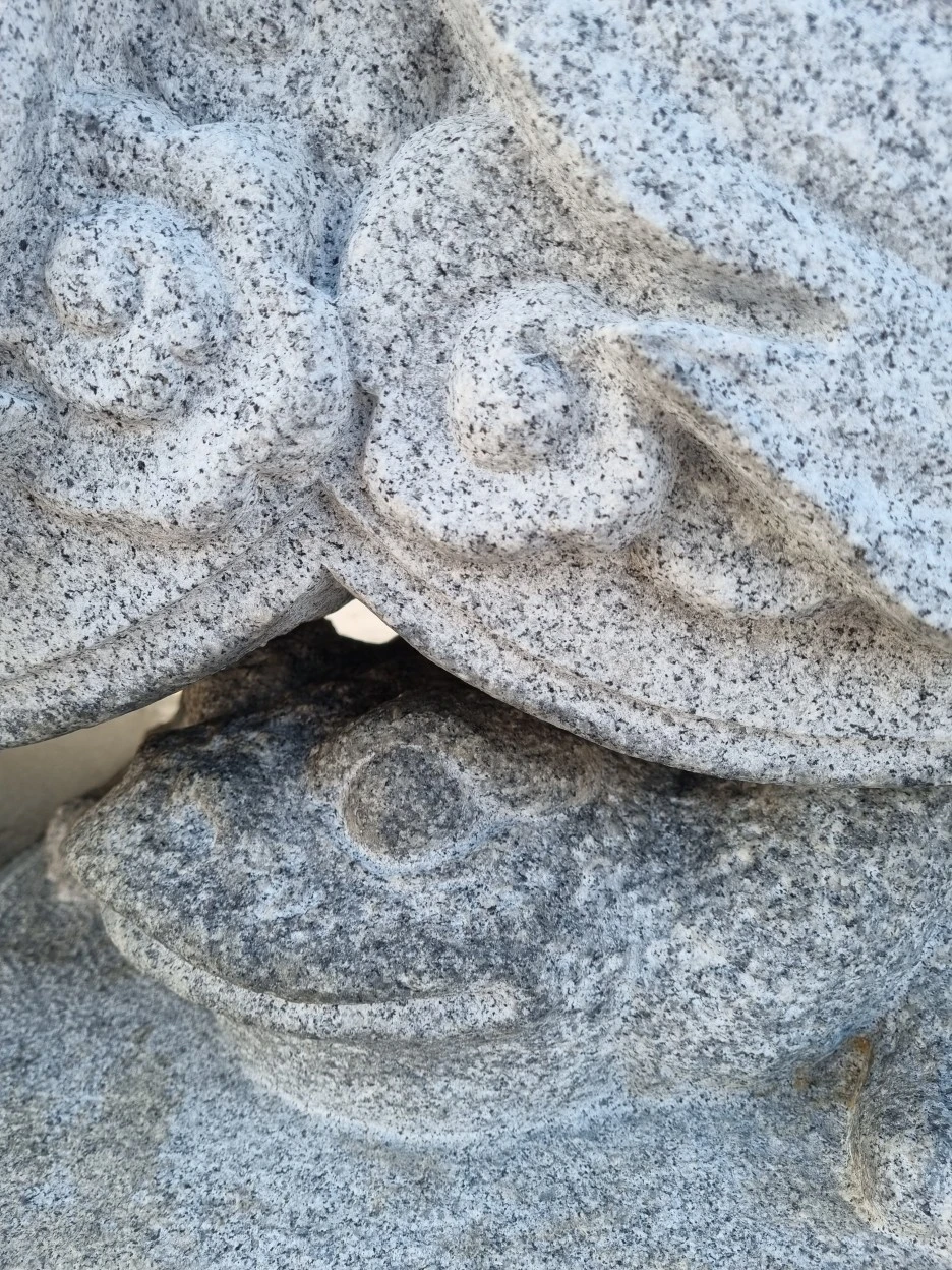 20220322_172025.jpg?type=w1