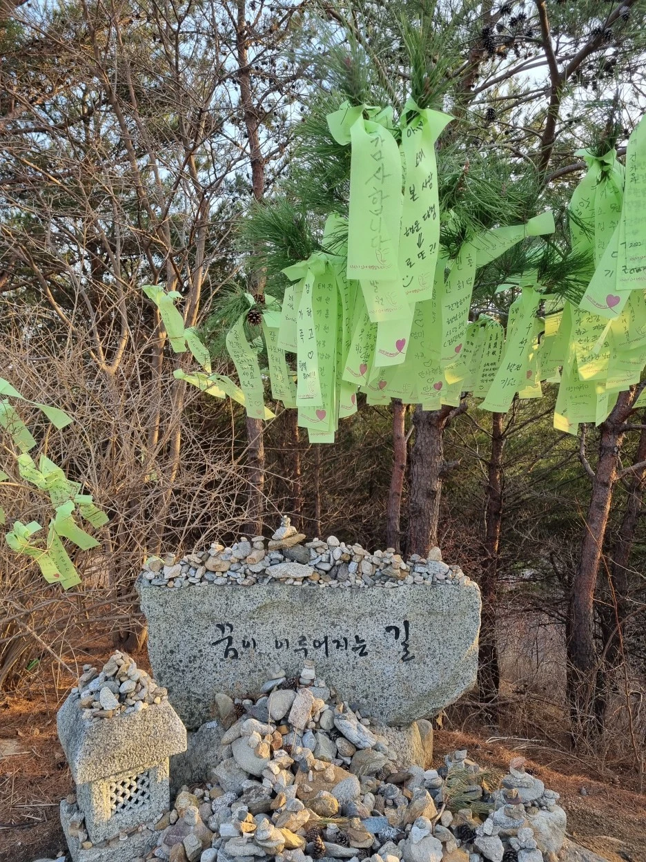 20220322_174341.jpg?type=w1