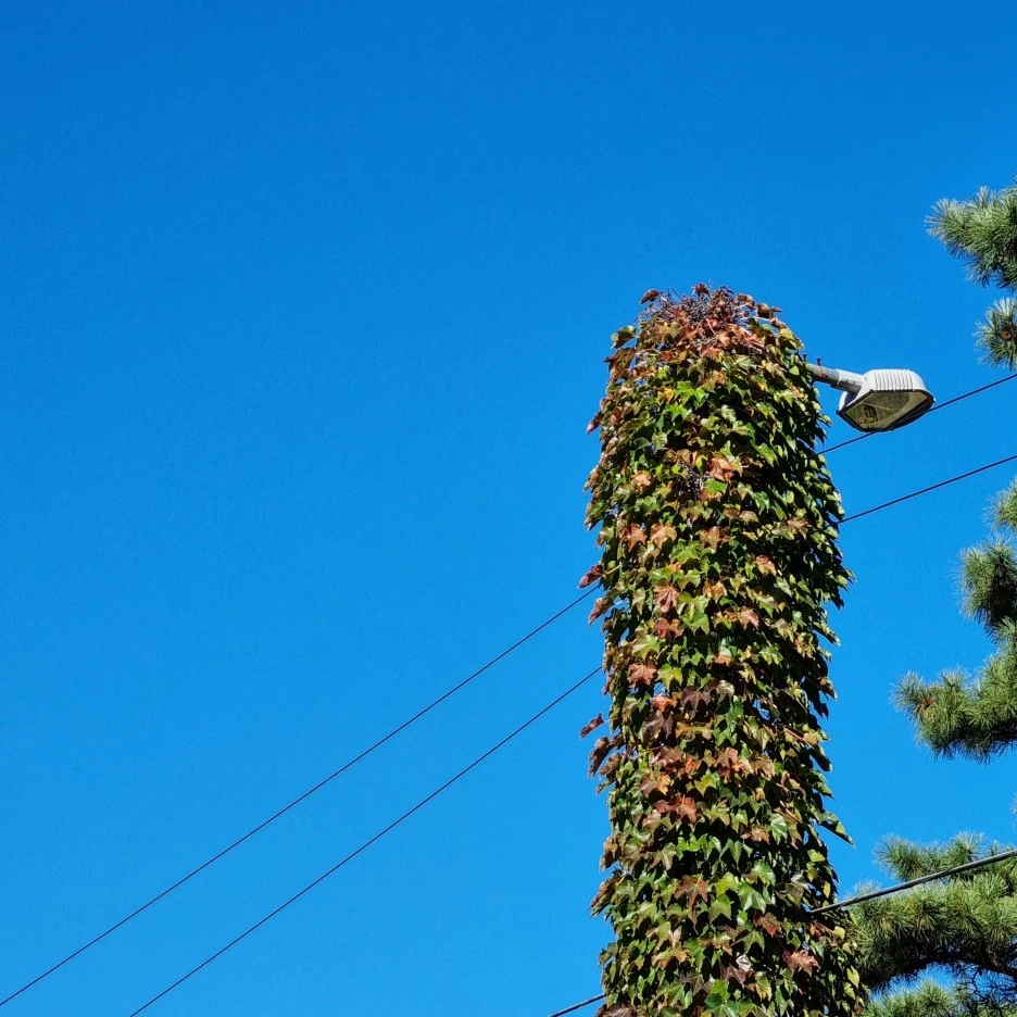 KakaoTalk_20211017_175601419_01.jpg?type=w1