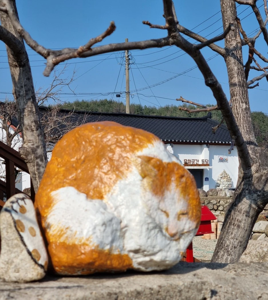 SE-7a0d3259-51c1-4a7c-ac02-2c0c8b319543.jpg?type=w1