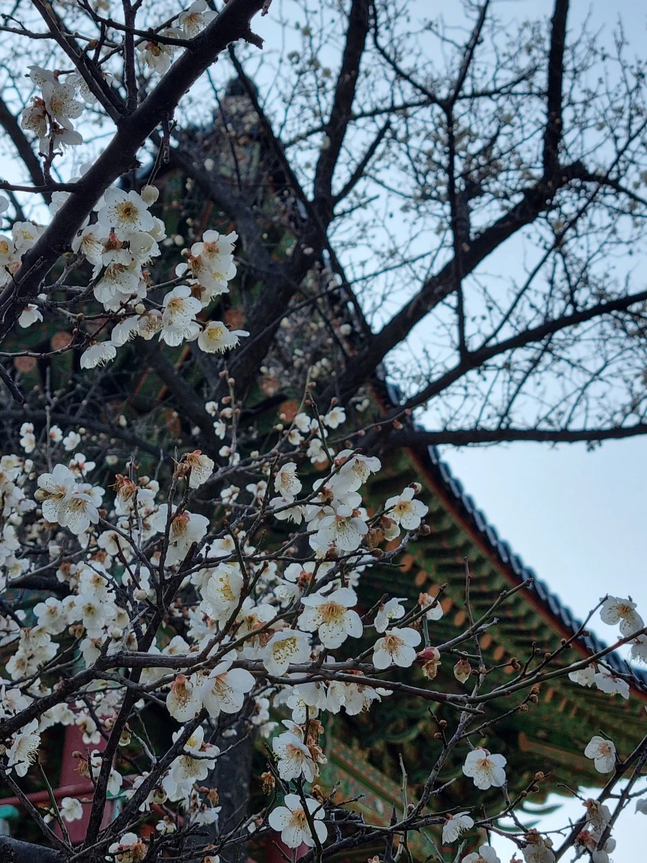 20220322_164506.jpg?type=w1