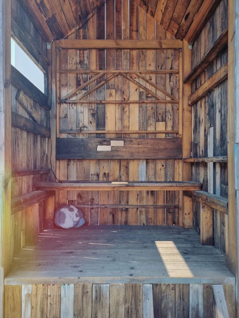 SE-f2d0af5d-2f31-4396-8b10-b4a39963e9c1.jpg?type=w1