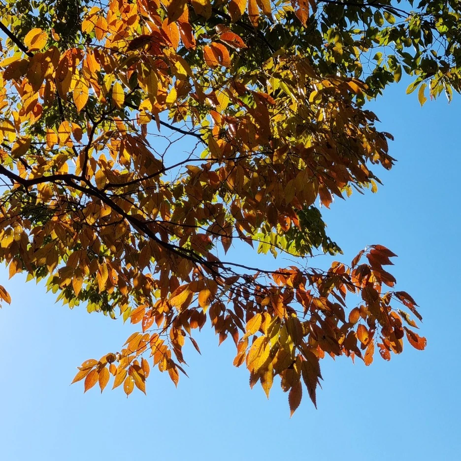 KakaoTalk_20211017_175601419_06.jpg?type=w1