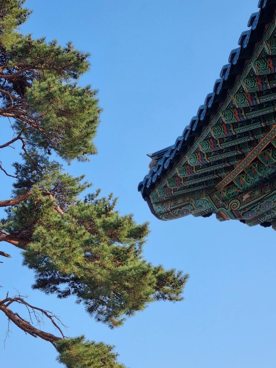 20220322_165223.jpg?type=w1