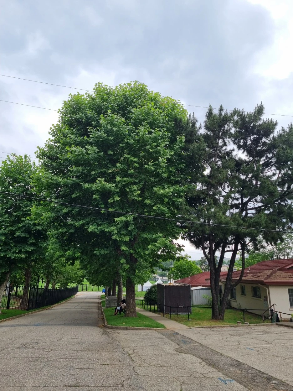 KakaoTalk_20220626_211543414_20.jpg?type=w1