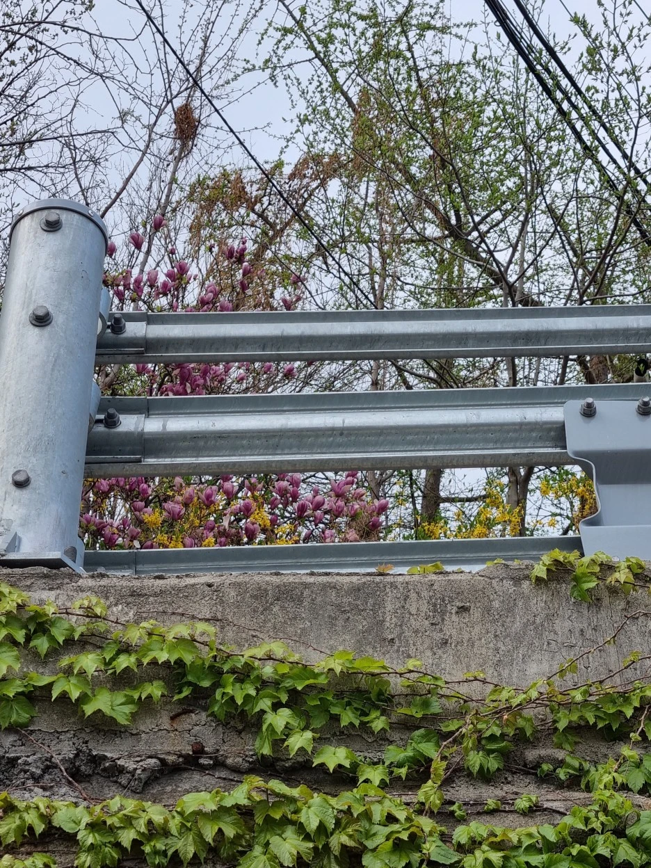 KakaoTalk_20220414_212441135_14.jpg?type=w1