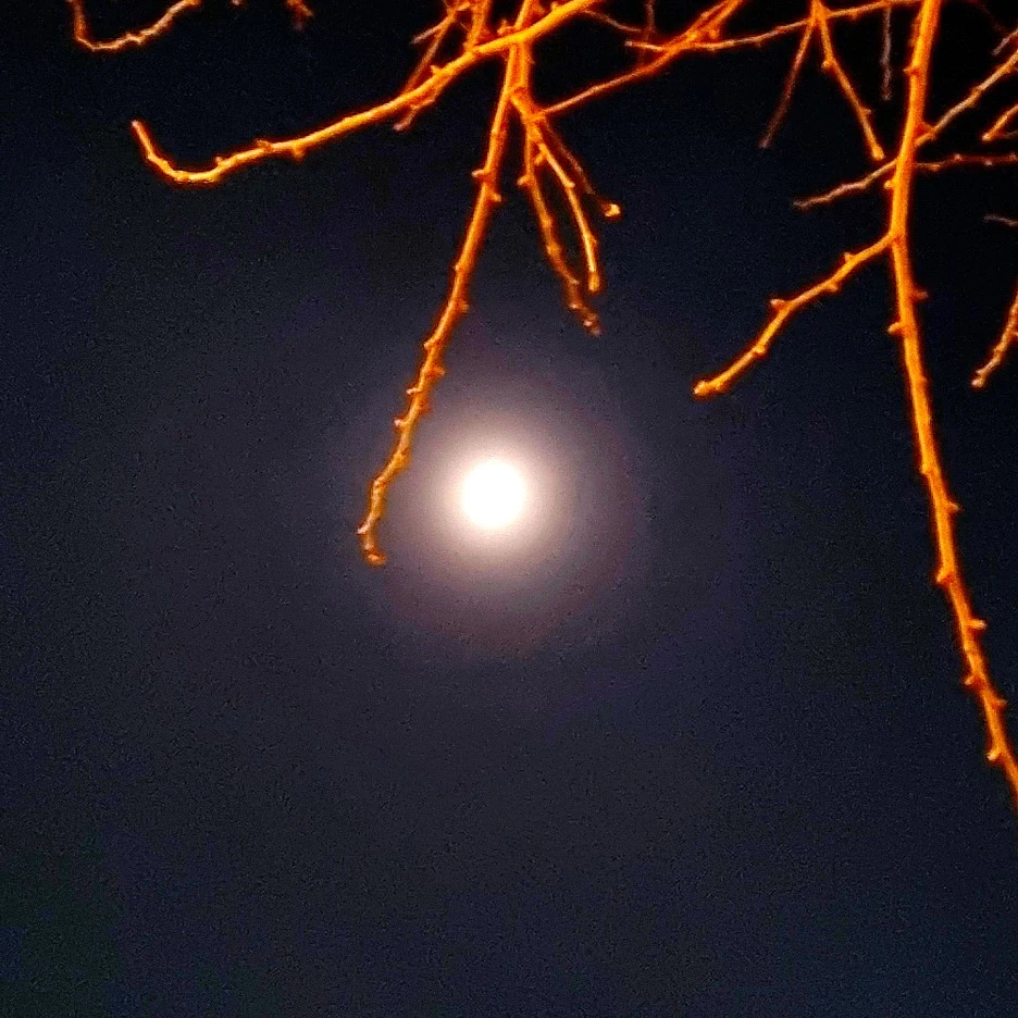 SE-539f5738-9099-4312-aa93-0bcc43da9724.jpg?type=w1