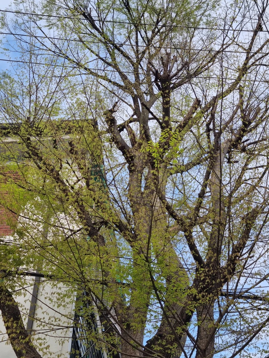 KakaoTalk_20220414_212441135_12.jpg?type=w1