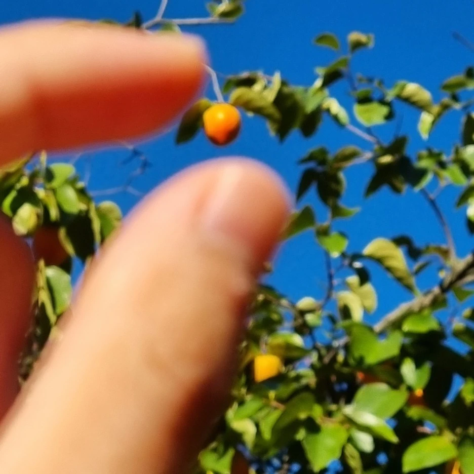 KakaoTalk_20211017_175601419_18.jpg?type=w1