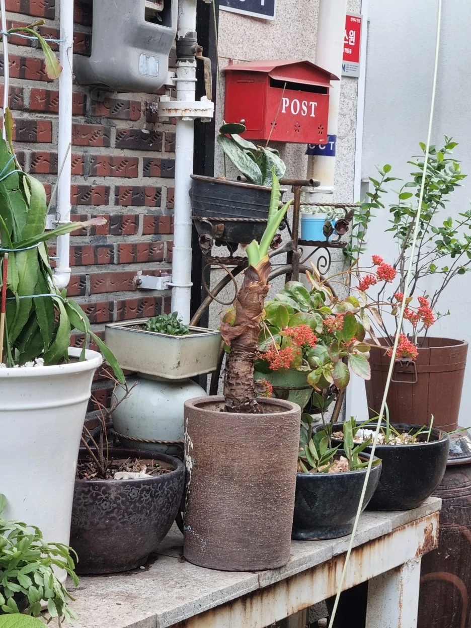 KakaoTalk_20220414_212441135_05.jpg?type=w1