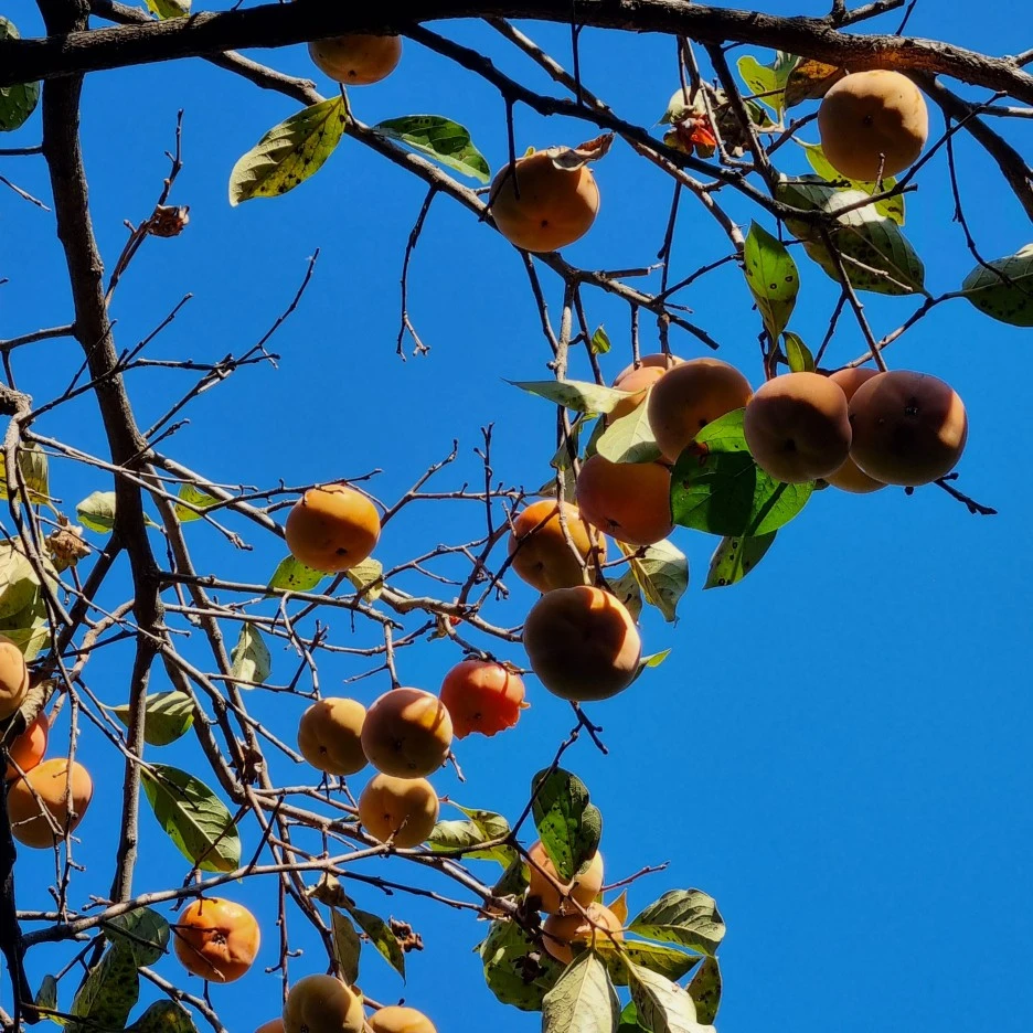 KakaoTalk_20211017_175601419_21.jpg?type=w1