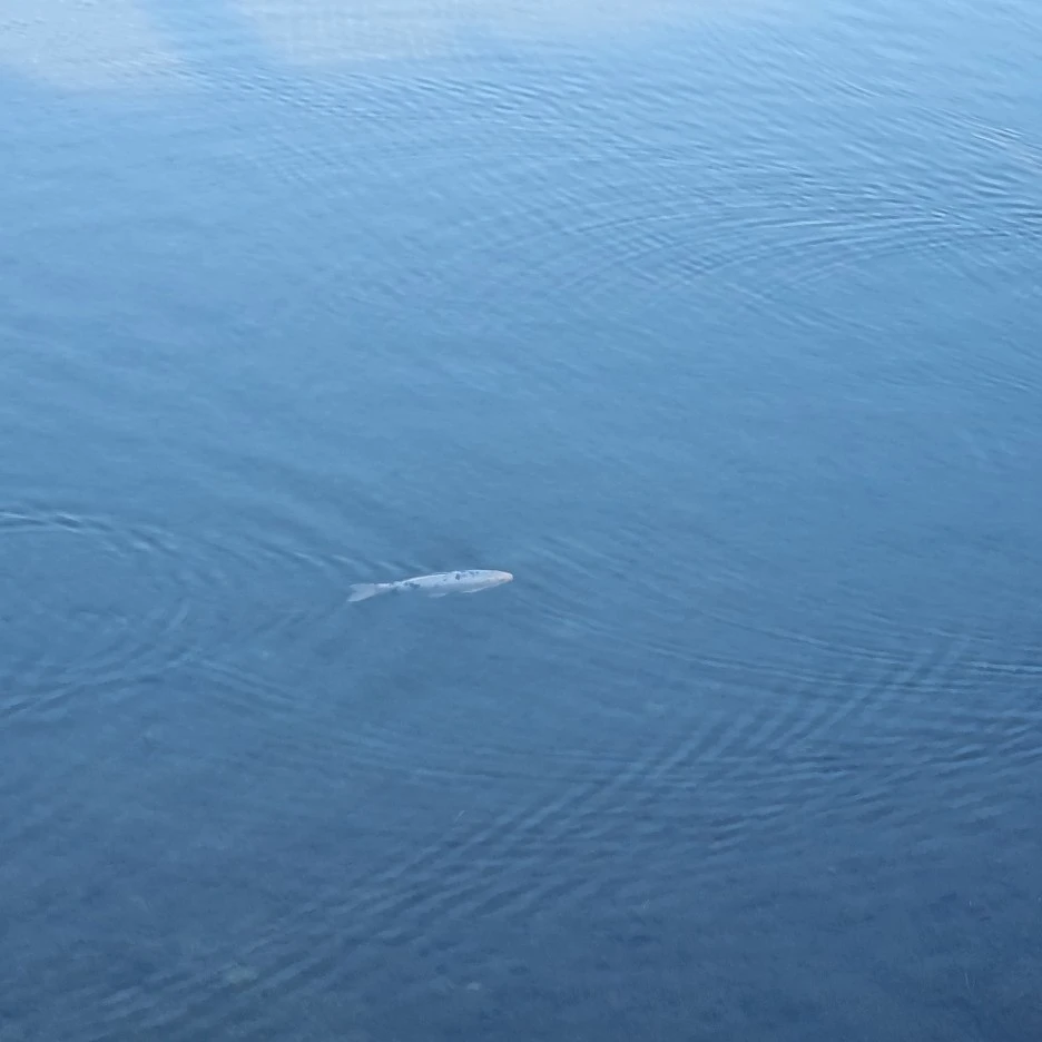 KakaoTalk_20211017_175647068_07.jpg?type=w1