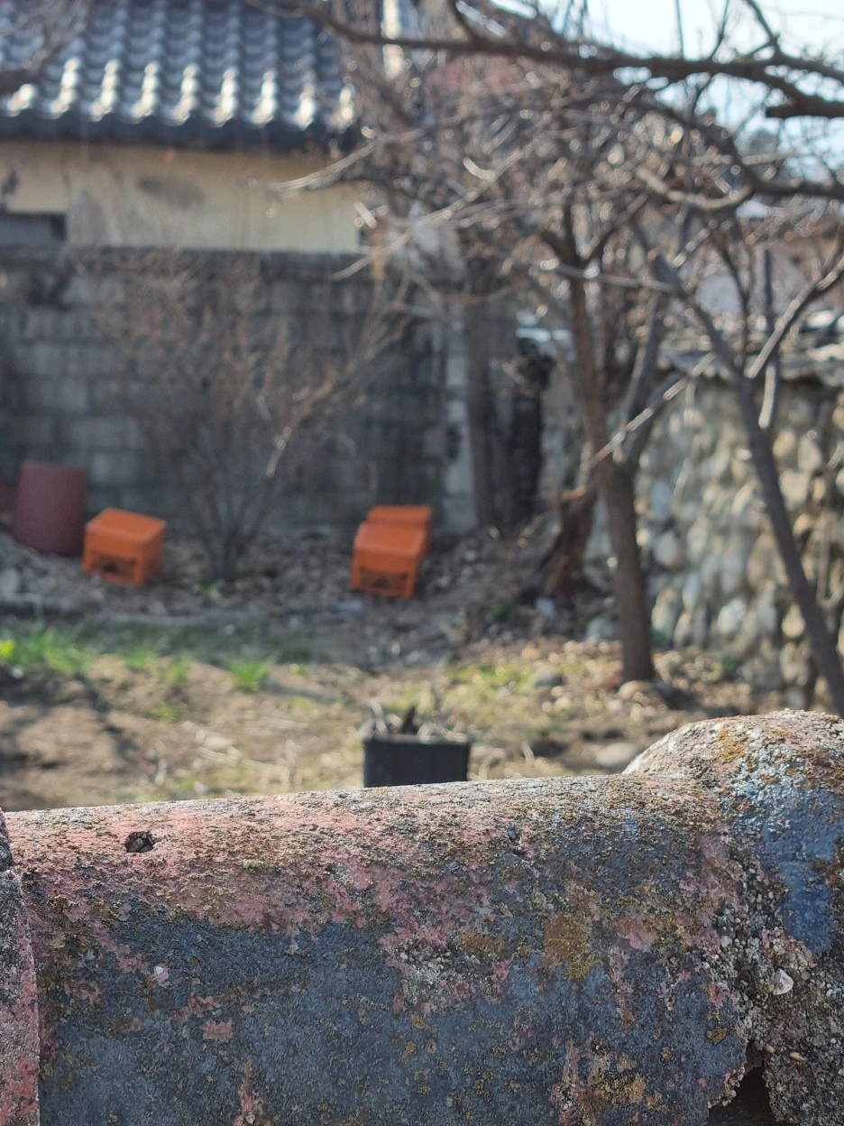 20220322_154629.jpg?type=w1