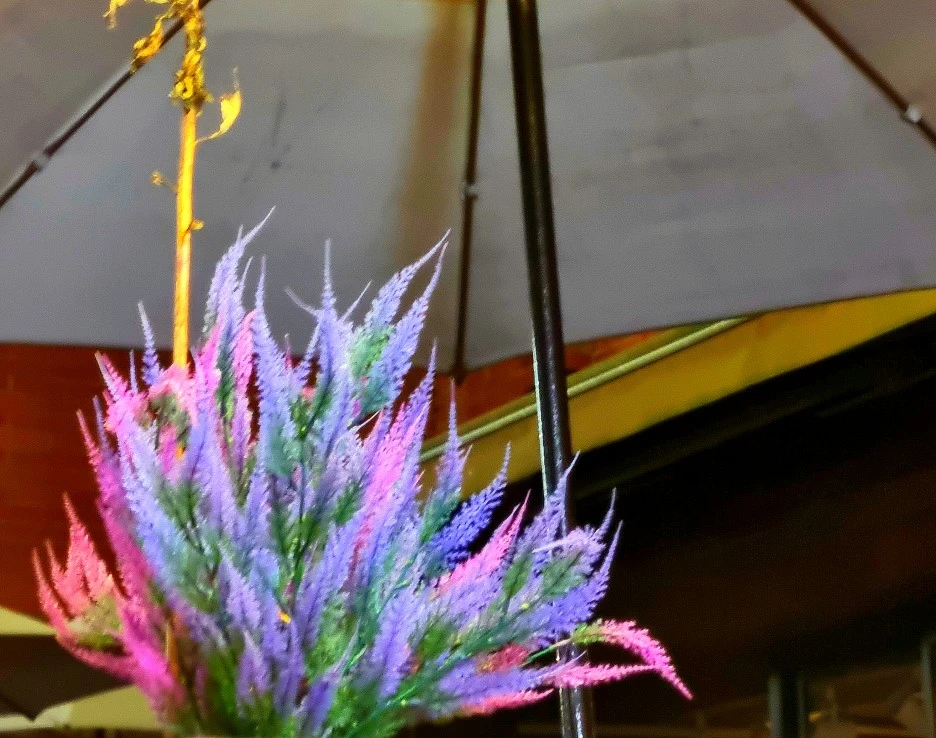 SE-94d04b01-5615-4cd8-b555-064e4b244bff.jpg?type=w1