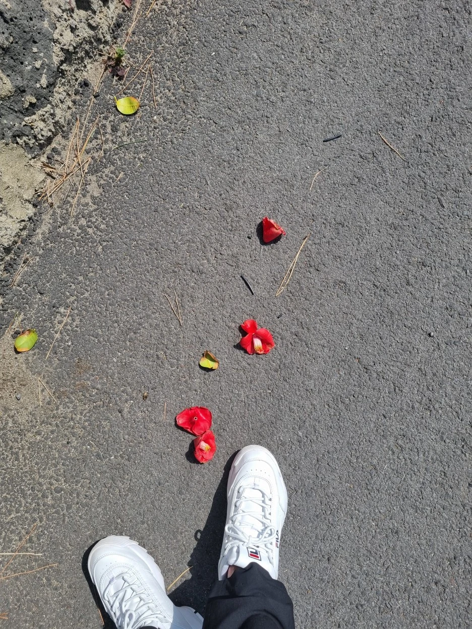 KakaoTalk_20220318_180813768_11.jpg?type=w1