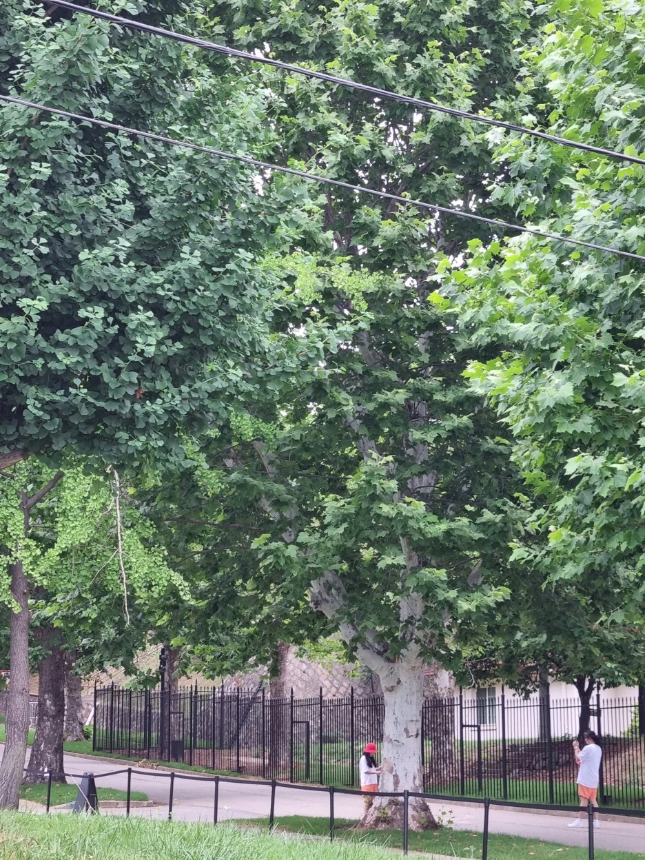 KakaoTalk_20220626_211610062_02.jpg?type=w1