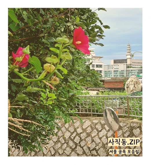 %EC%82%AC%EC%A7%81%EB%8F%99.PNG?type=w1