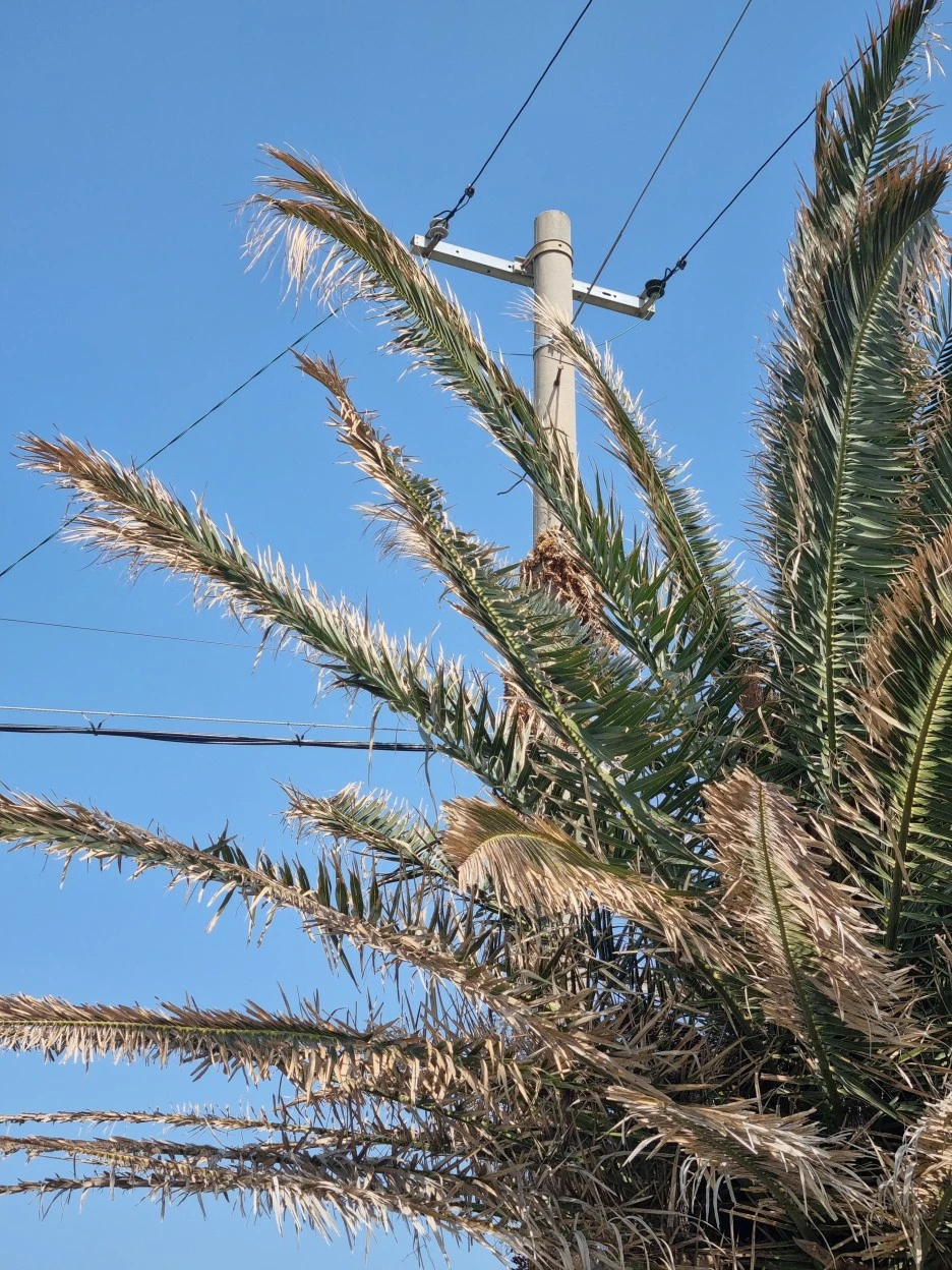 KakaoTalk_20220318_113119758_14.jpg?type=w1