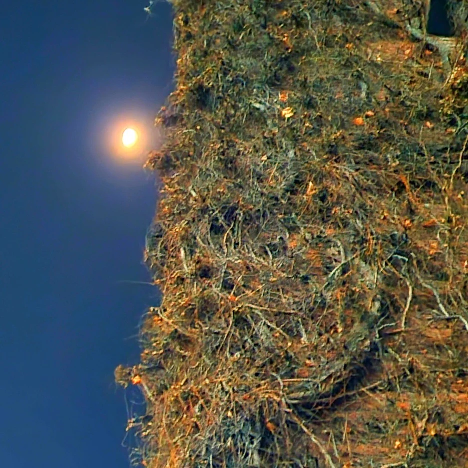 SE-29455eb1-3c88-458d-971c-d9737fb513b7.jpg?type=w1