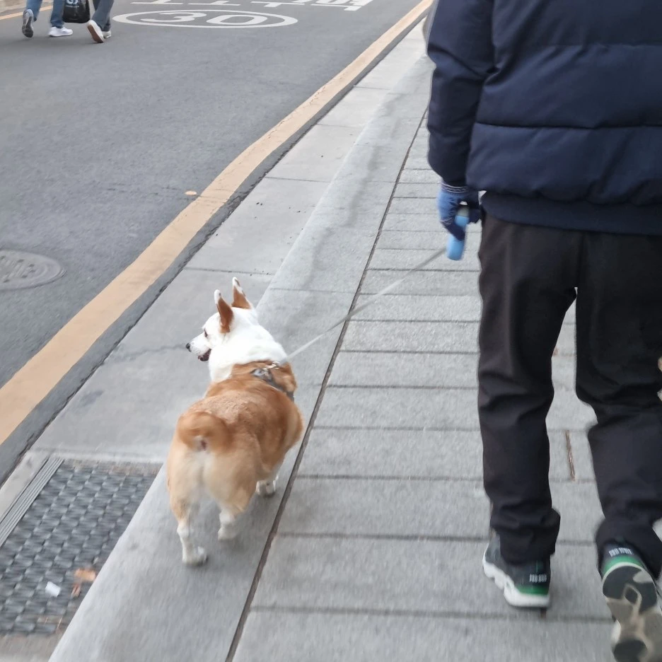 KakaoTalk_20220307_011142835_15.jpg?type=w1