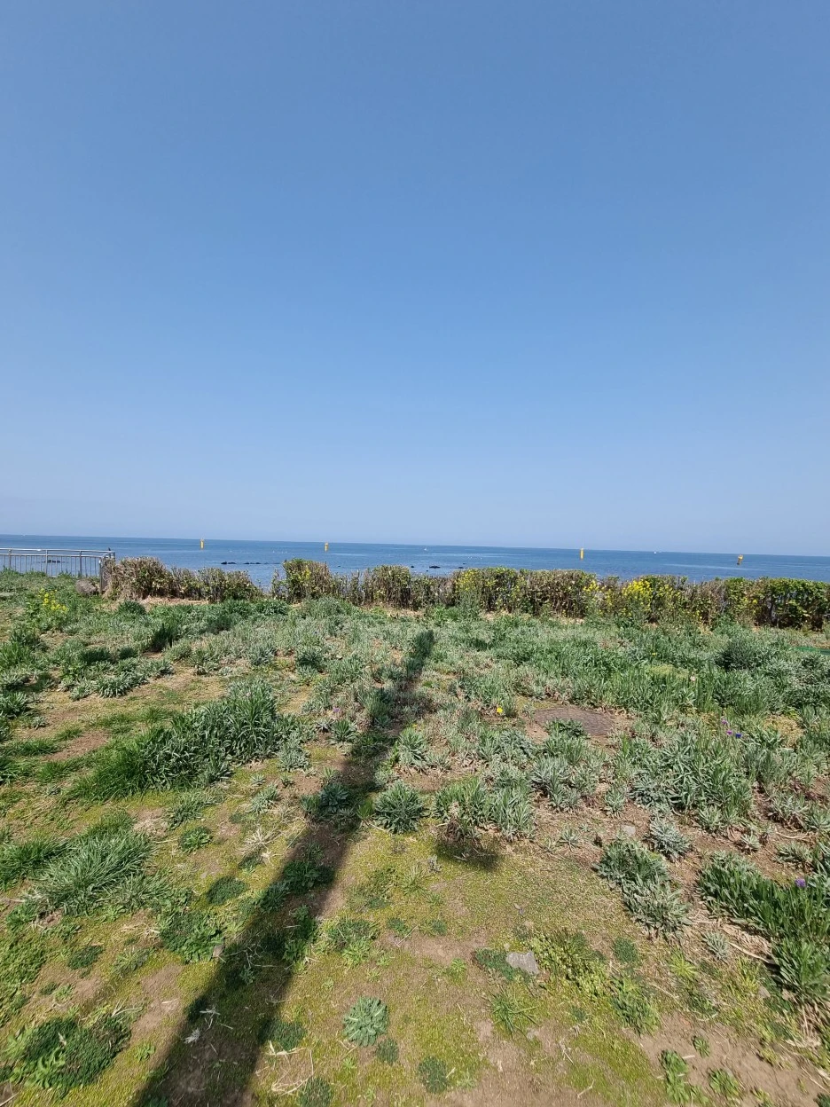 KakaoTalk_20220318_113119758_16.jpg?type=w1