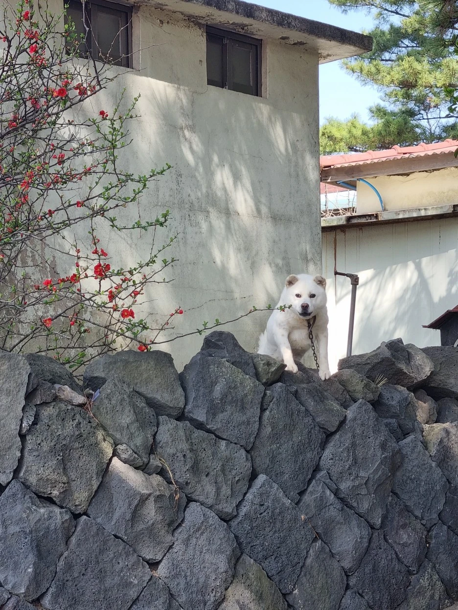 KakaoTalk_20220318_180813768_13.jpg?type=w1