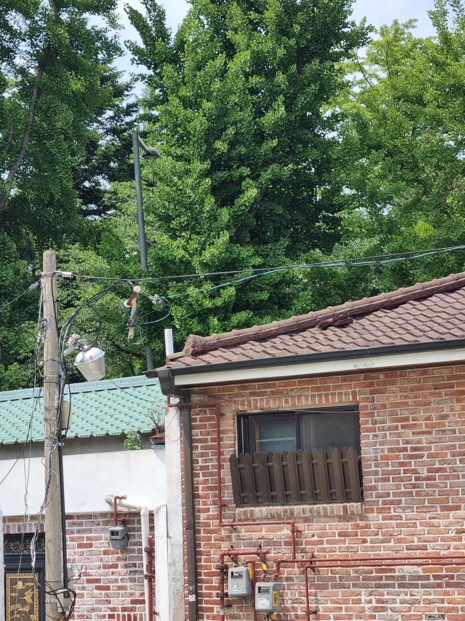 KakaoTalk_20220524_105820859_08.jpg?type=w1