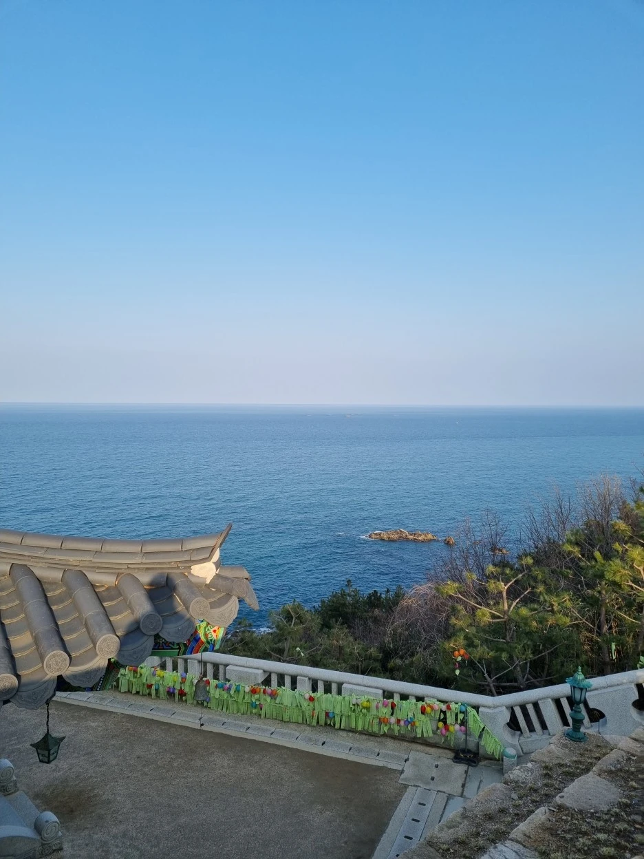 20220322_170946.jpg?type=w1