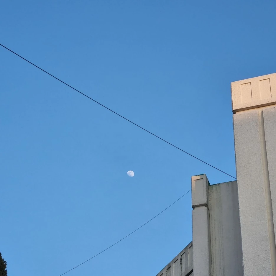 KakaoTalk_20220213_003905912_07.jpg?type=w1