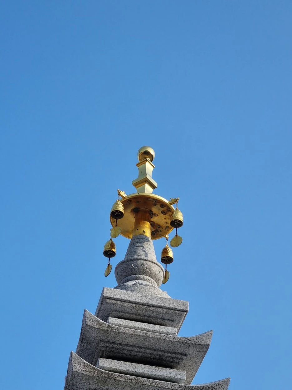 20220322_165038.jpg?type=w1