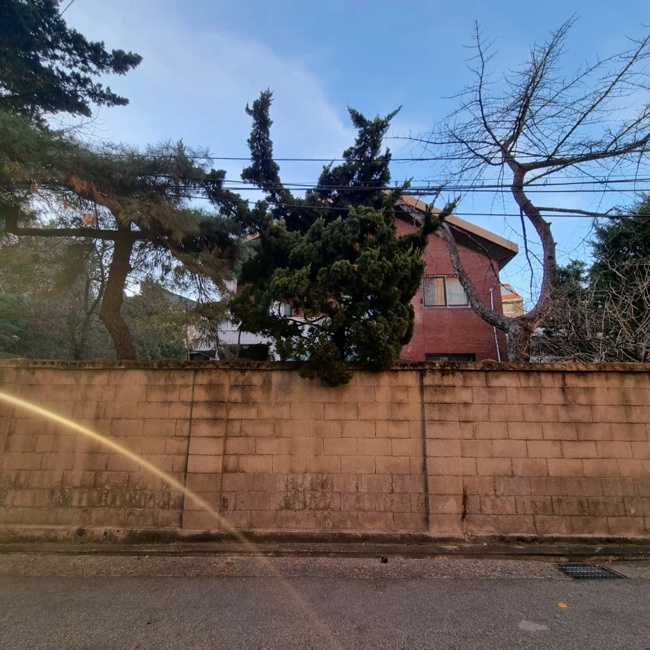 KakaoTalk_20220307_011142835_18.jpg?type=w1