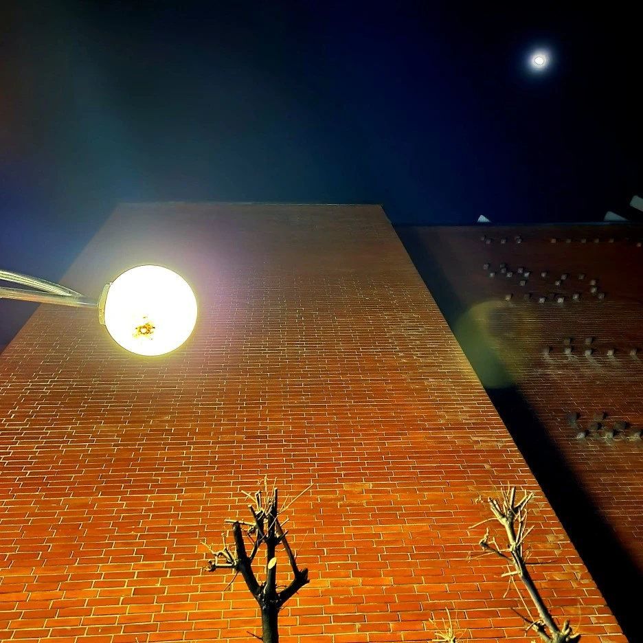 SE-f95371d7-b730-4c29-9598-6d9ed79083c5.jpg?type=w1