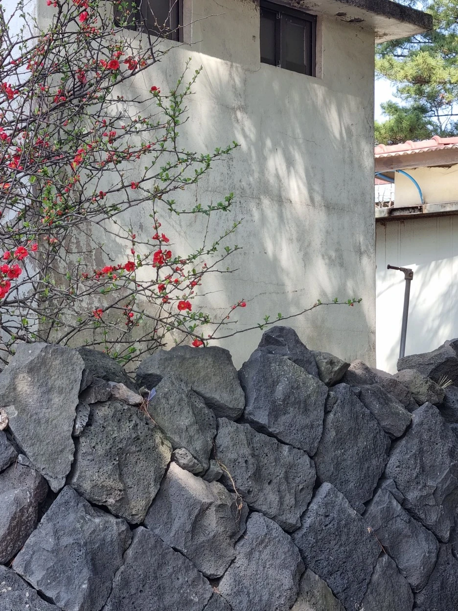 KakaoTalk_20220318_180813768_14.jpg?type=w1