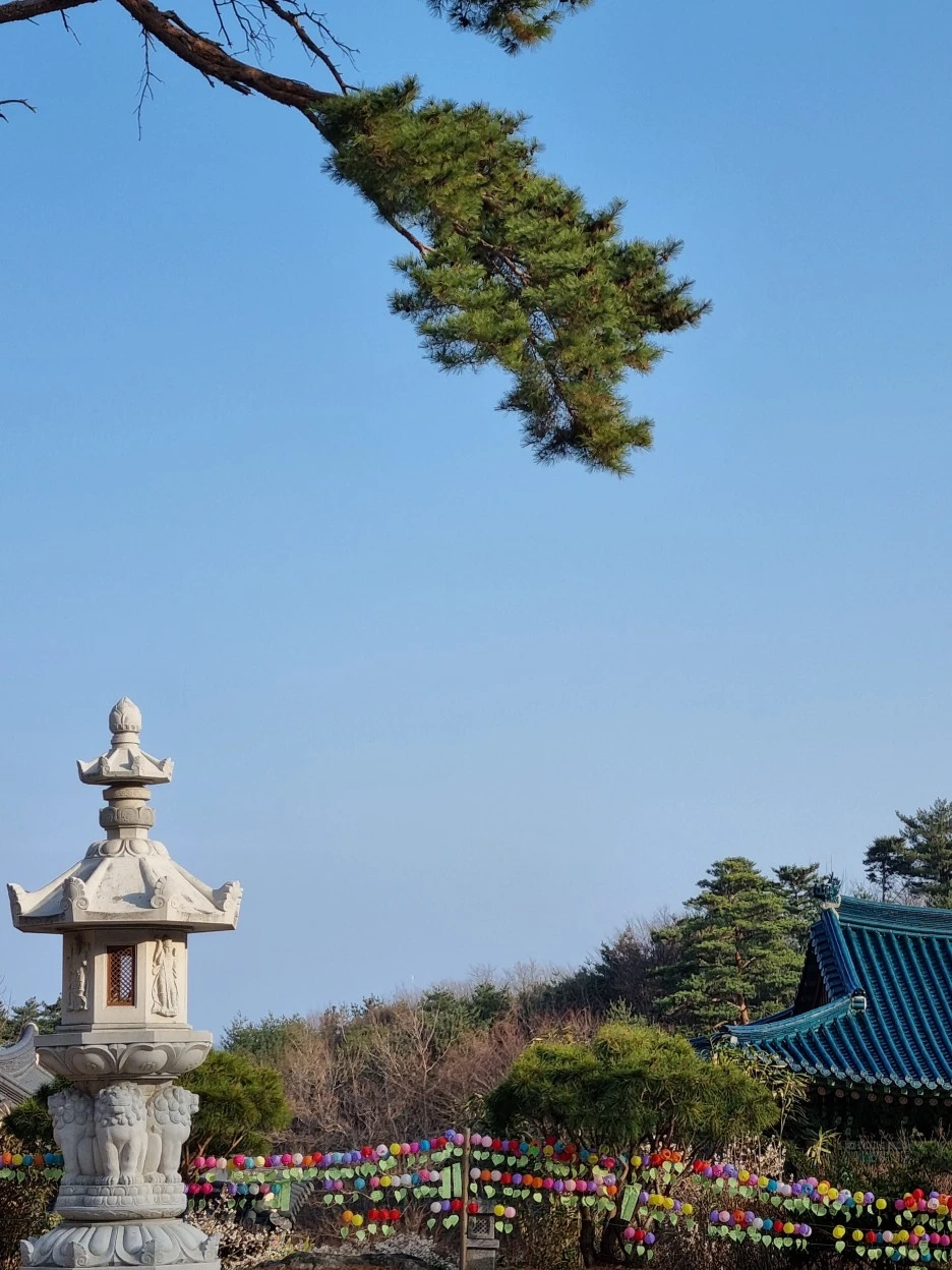 20220322_165125.jpg?type=w1